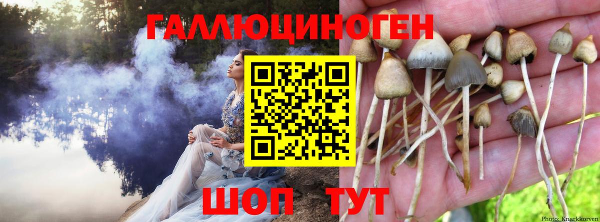 что такое   Псилоцибиновые грибы мицелий  Вход с VPN  Новоуральск 